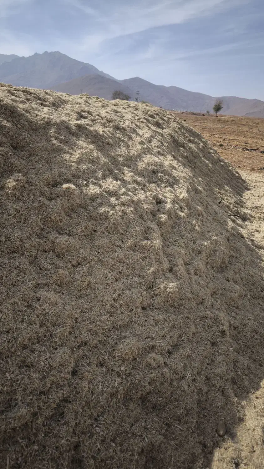 کاه لوبیا|لوازم جانبی حیوانات|اقلید, |دیوار