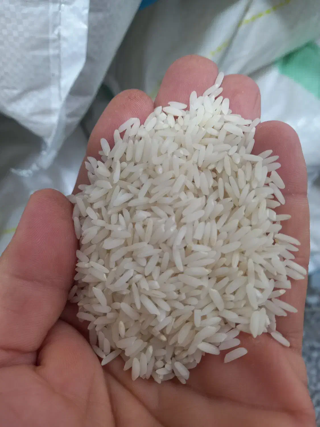برنج هاشمی آستانه اشرفیه با کیفیت درجه یک|خوردنی و آشامیدنی|لاهیجان, کوی آزادگان|دیوار