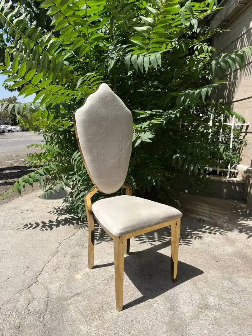 صندلی تالار بدون قاب|میز و صندلی غذاخوری|ری, شهرک نظامی|دیوار