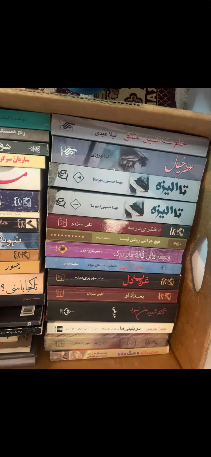 رمان ایرانی|کتاب و مجله ادبی|تهران, سلسبیل شمالی|دیوار