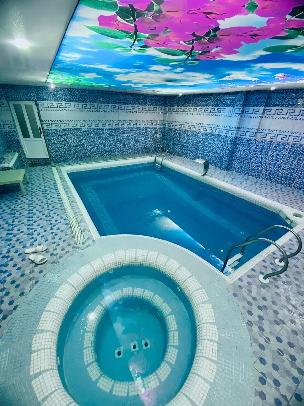 ویلا ۱۰۰۰متر لوکس دربست نوساز با استخروجکوزی داغ|اجارهٔ کوتاهمدت ویلا و باغ|نیشابور, فضل|دیوار