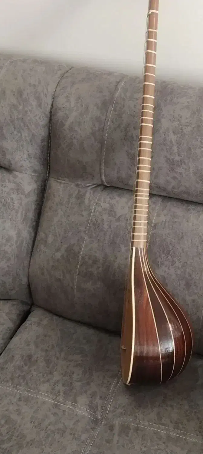 سه تار حرفه ای و زیبا مُهر منصور رمضانی|سازهای سنتی|اصفهان, نقش جهان|دیوار