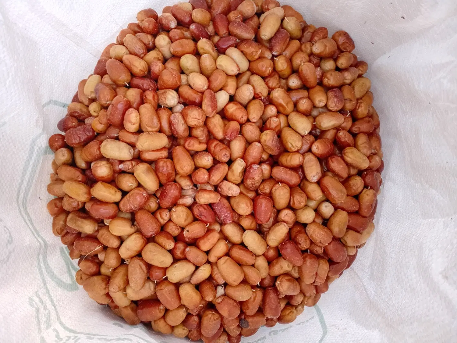 سنجد|خوردنی و آشامیدنی|تویسرکان, |دیوار