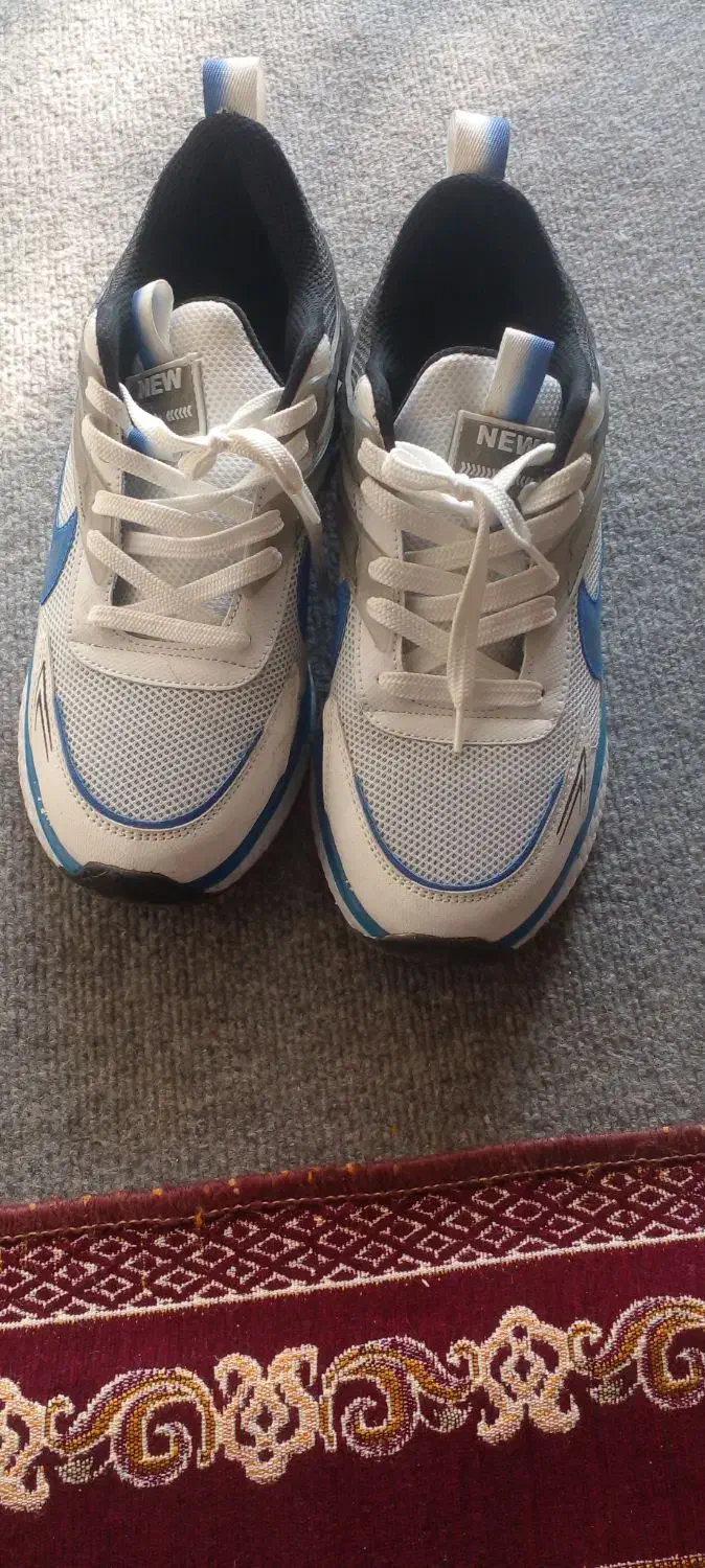 کفش کتونی|کیف، کفش، کمربند|بندر انزلی, بشمن|دیوار