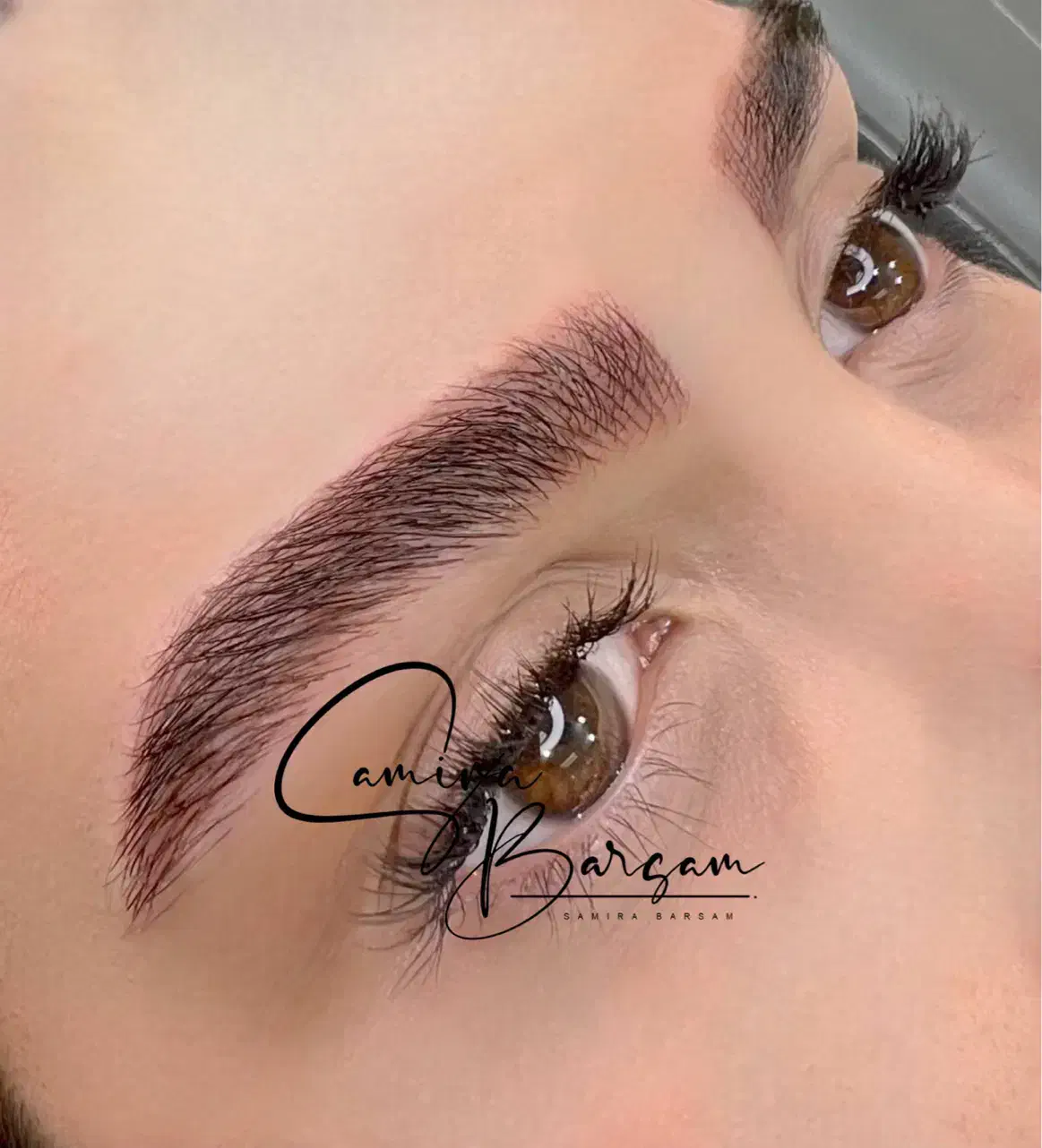 فیبروز ابرو با برند آمریکایی، ظرفیت محدود|خدمات آرایشگری و زیبایی|تربتحیدریه, منصوریه|دیوار