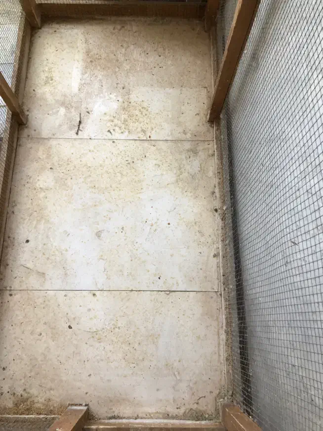 قفس بزرگ|لوازم جانبی حیوانات|تربت جام, جامی|دیوار