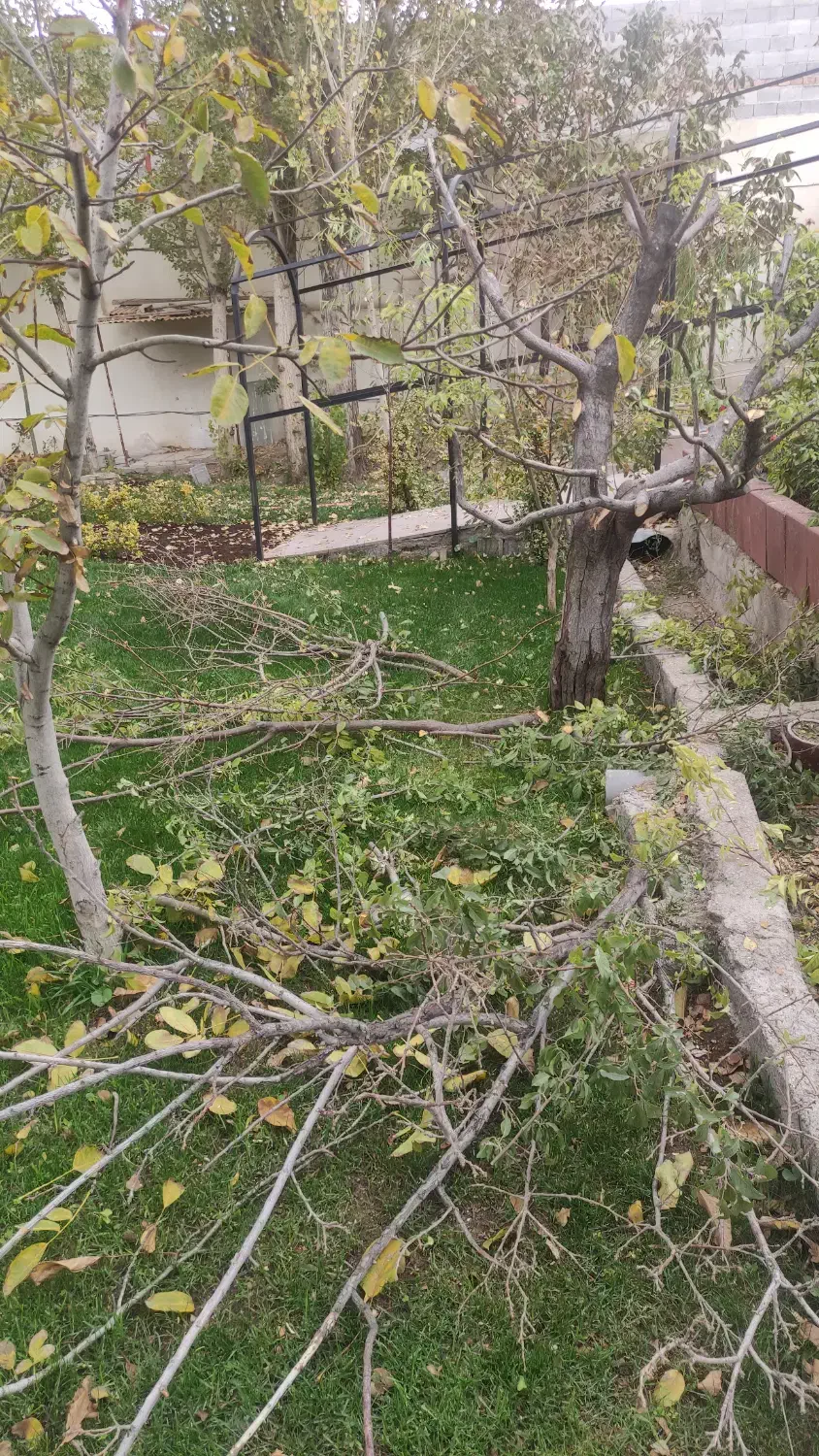 ارایه خدمات نوین دانش بنیان کشاورزی|خدمات باغبانی و درختکاری|باسمنج, |دیوار