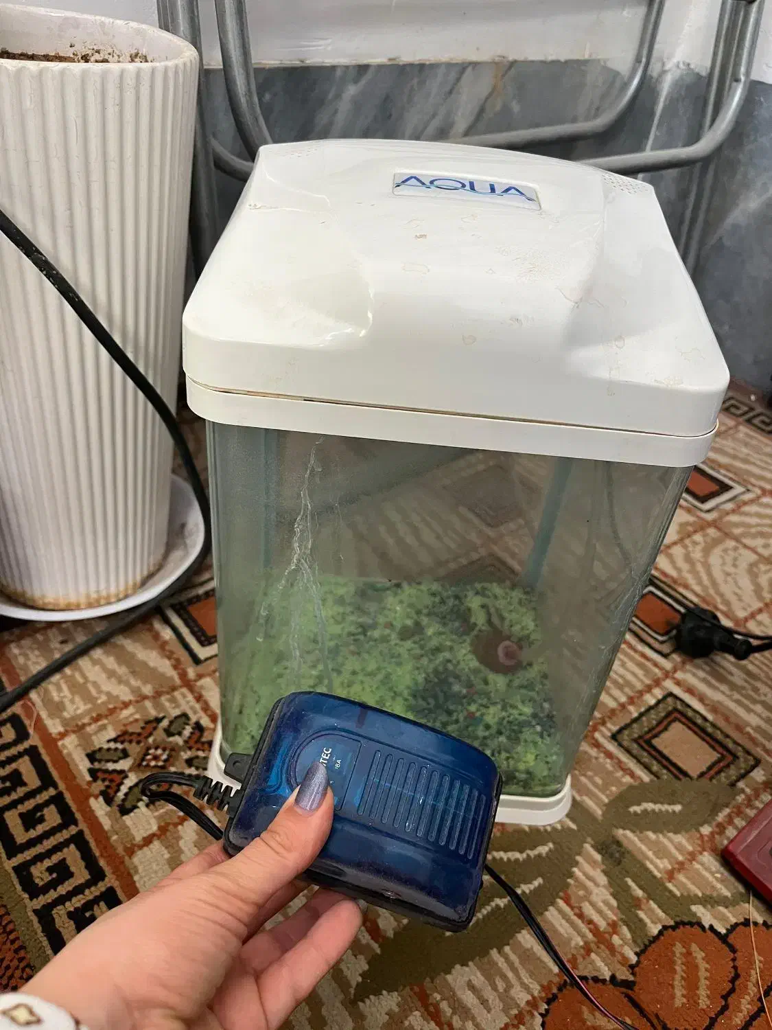 آکواریوم آکوا|ماهی|ابریشم, |دیوار