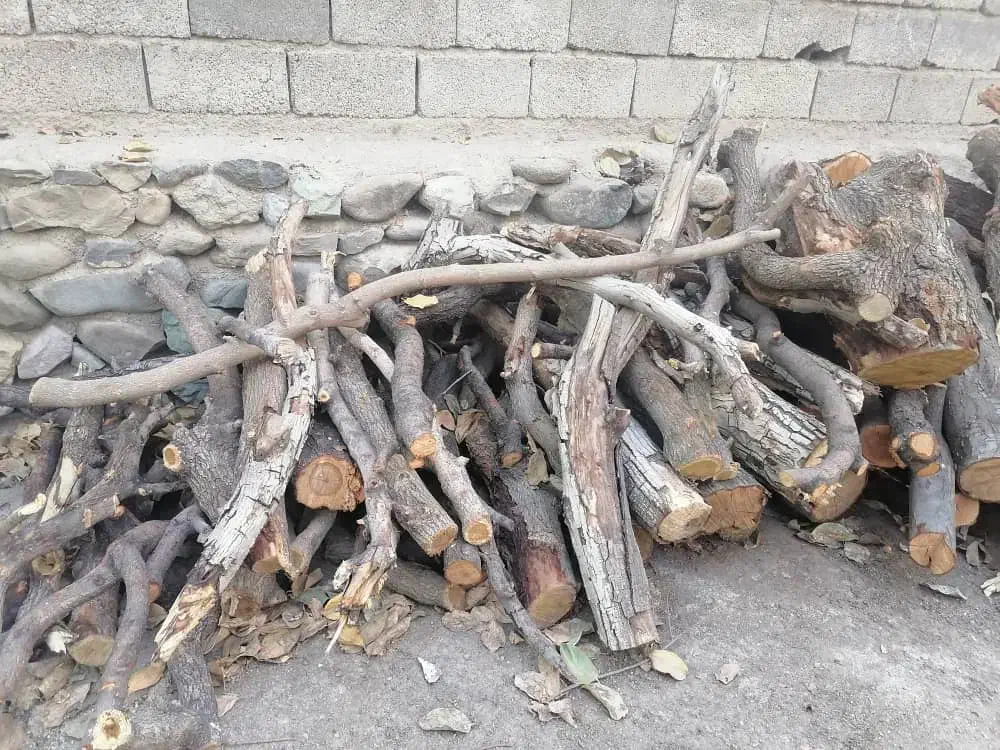 خریدار چوب همه نوع|خدمات باغبانی و درختکاری|تهران, دهکده المپیک|دیوار