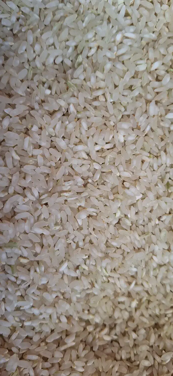 برنج کامفیروزی اصل رو اول بخور بعد بخر|خوردنی و آشامیدنی|شیراز, ستارخان|دیوار