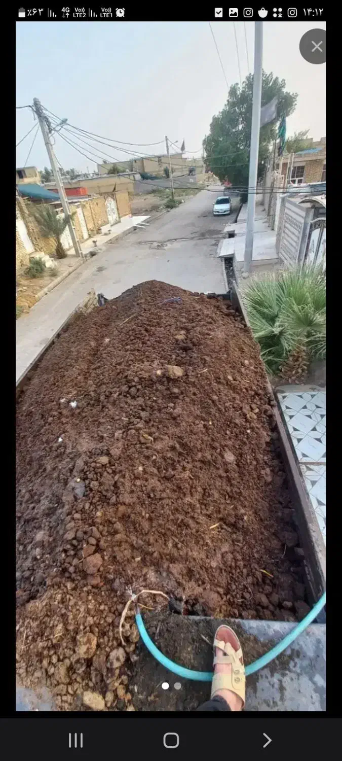 کود گاوی خشک خالص|خدمات باغبانی و درختکاری|جوین, |دیوار