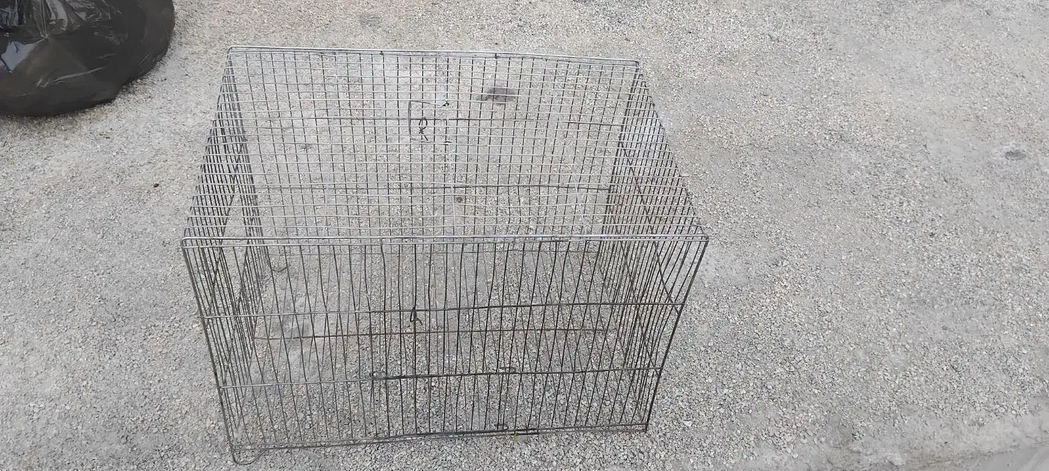 یک عدد قفس بزرگ قیمت۸۰|لوازم جانبی حیوانات|دوگنبدان, |دیوار