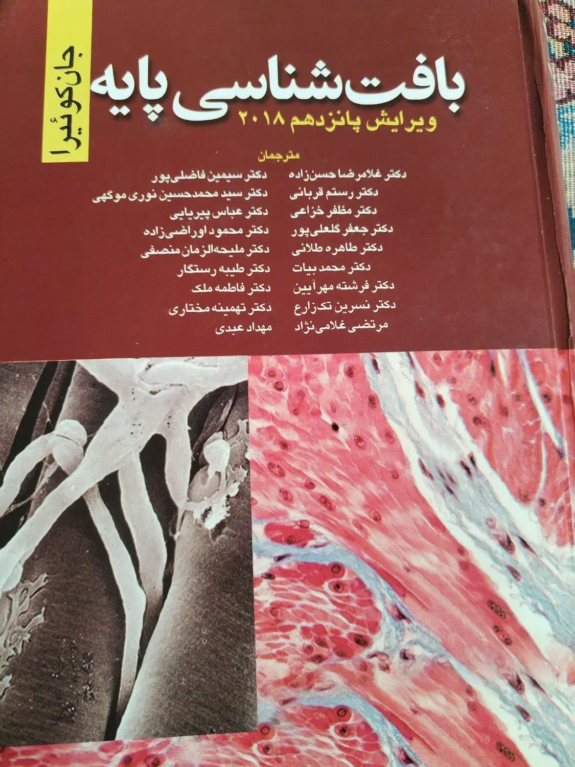 بافت شناسی پایه جان کوئیرا|کتاب و مجله آموزشی|اصفهان, سرچشمه|دیوار
