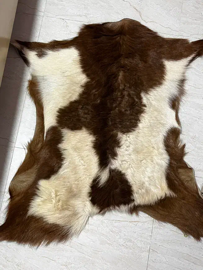 وکیل آباد|فرش|مشهد, وکیل‌آباد|دیوار