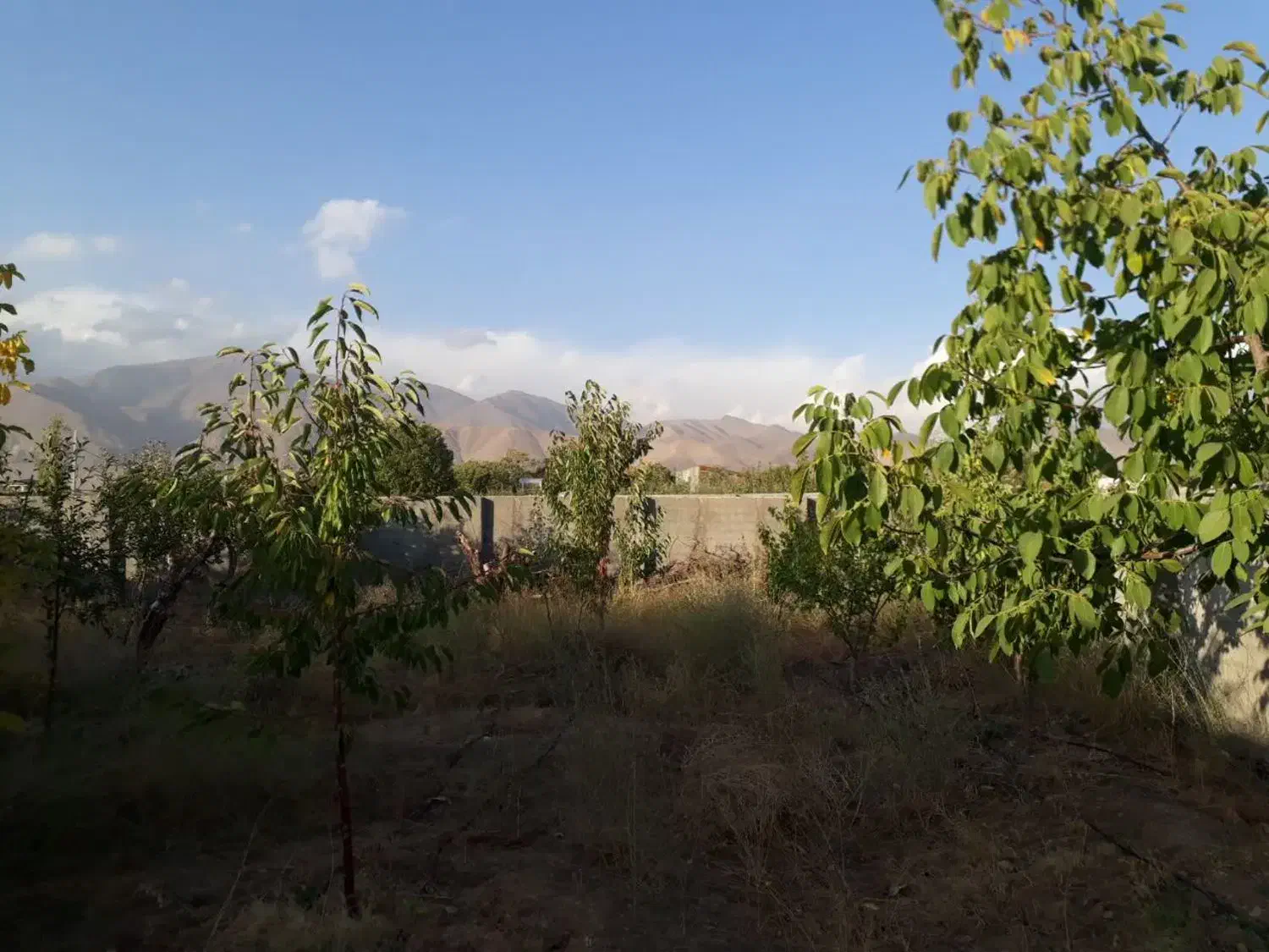 باغچه ۳۰۰ متری در روستای زان آبسرد|فروش زمین و ملک کلنگی|دماوند, دماوند|دیوار