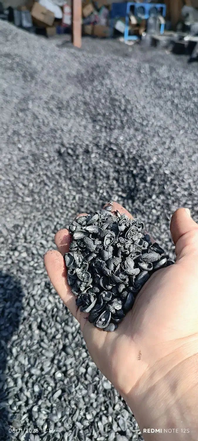 کربن پسته|عمده‌فروشی|اصفهان, گورت|دیوار