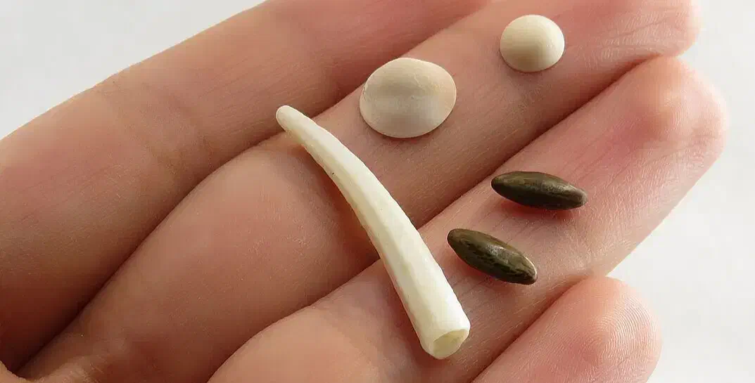 جفت مهره|کلکسیون اشیاء عتیقه|یاسوج, |دیوار