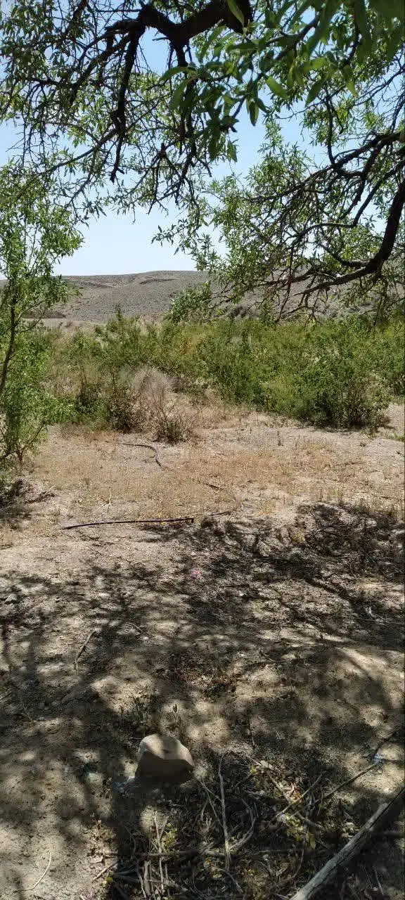 زمین کشاورزی و با مجوز دام پروری و مرغ داری|فروش دفتر صنعتی، کشاورزی، تجاری|خوانسار, |دیوار