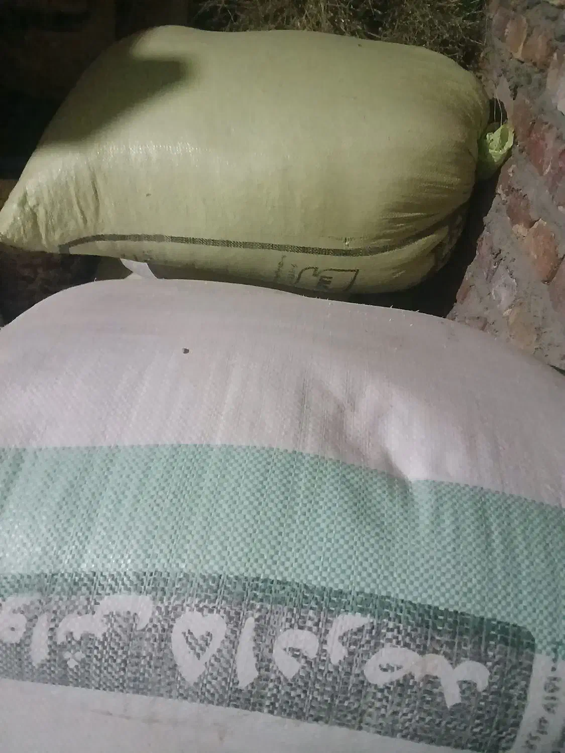 گندم بوجاری شده وسم زده شده|عمدهفروشی|شادیان, |دیوار