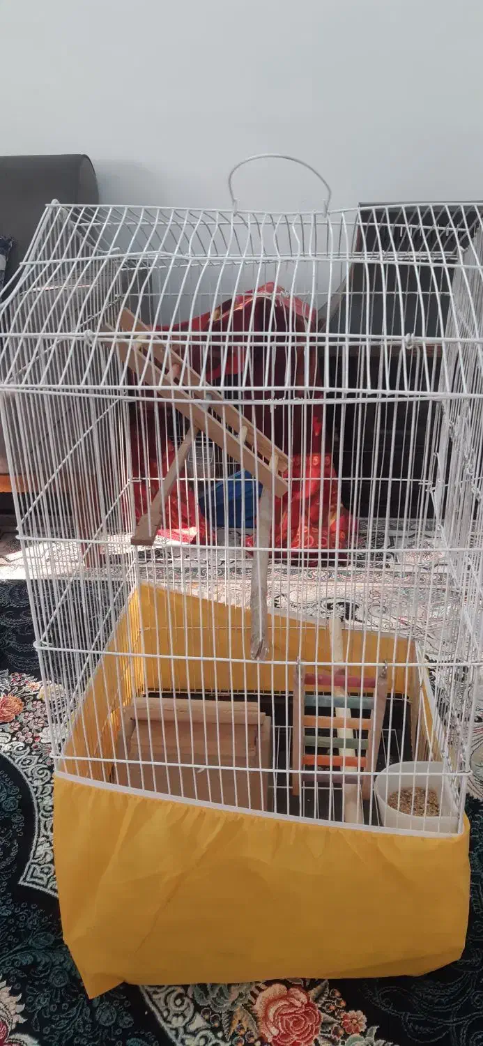 قفس پرنده|لوازم جانبی حیوانات|منجیل, |دیوار