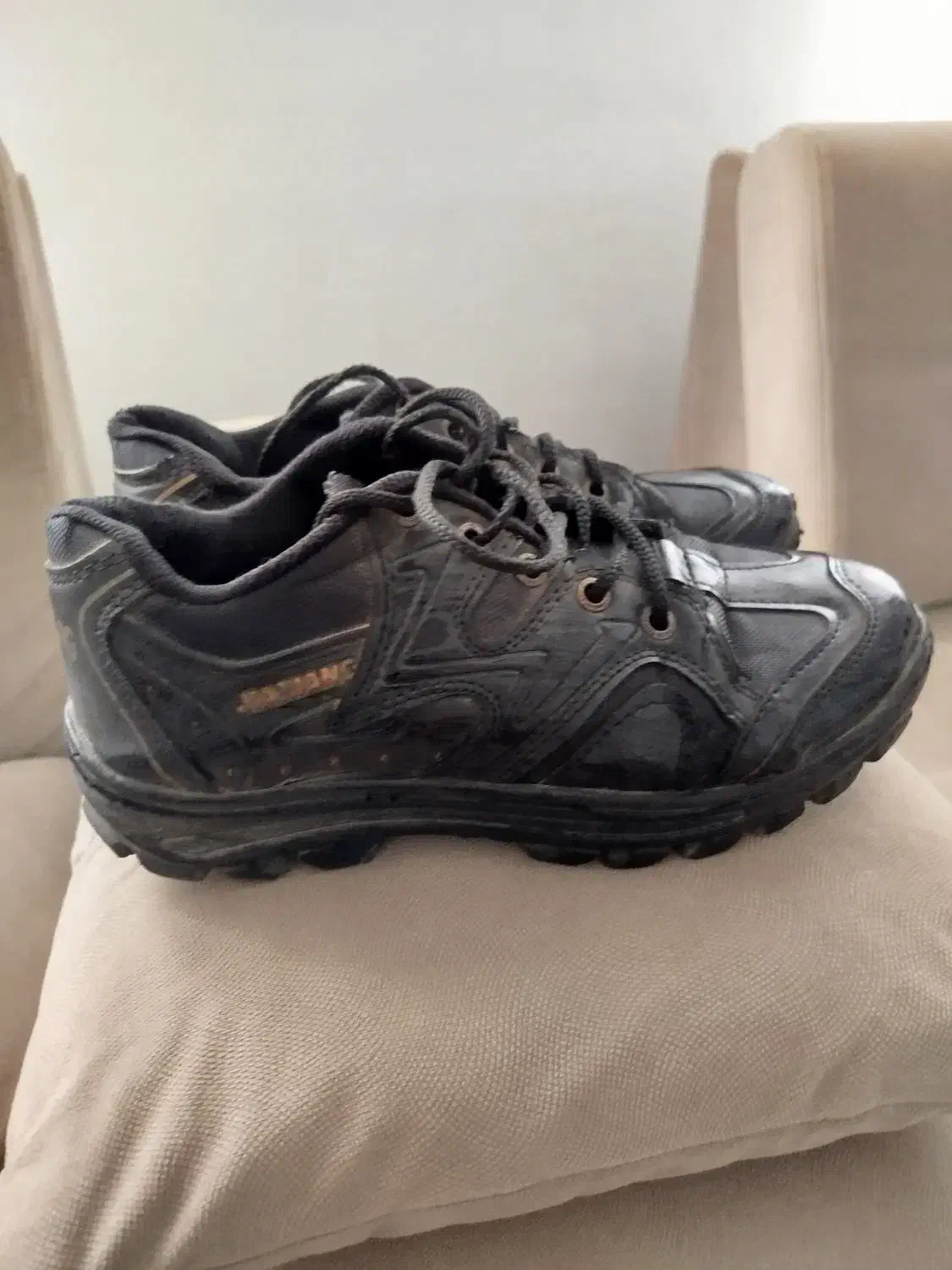 اسپورت|حراج|سنندج, |دیوار