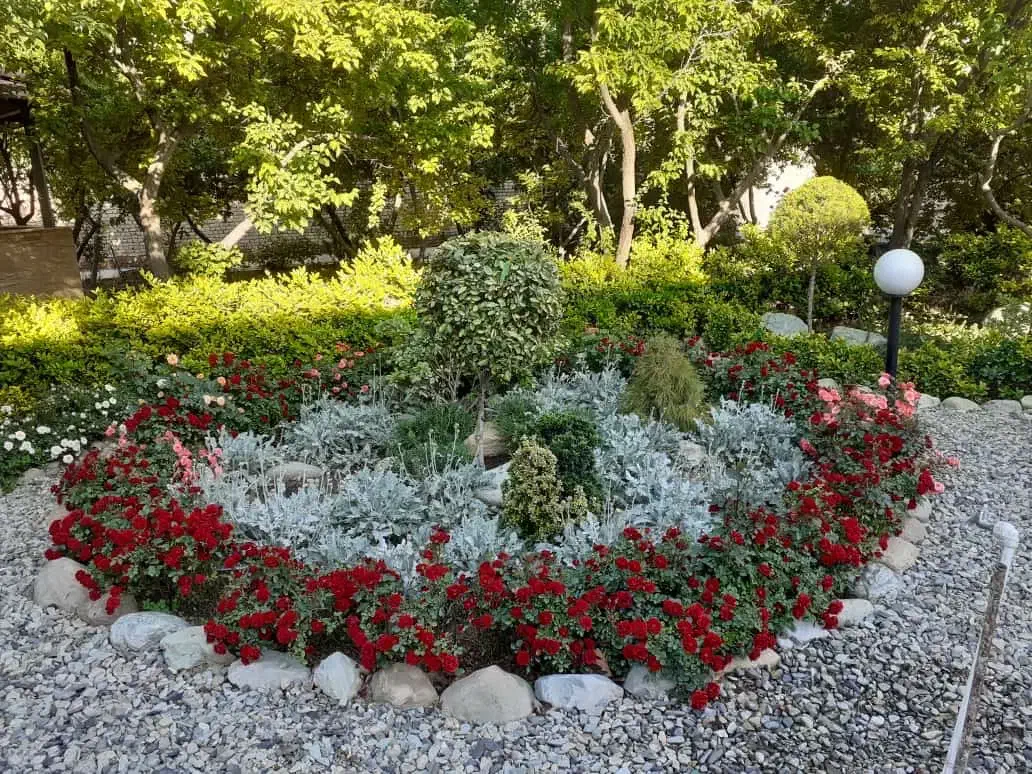 خدمات فضای یبز|خدمات باغبانی و درختکاری|تهران, آهنگ|دیوار