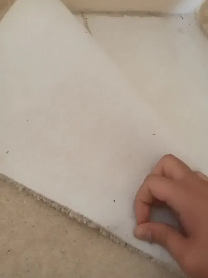 دو عدد موکت پشم شیشه نیازمند شست و شو|موکت|یزد, |دیوار