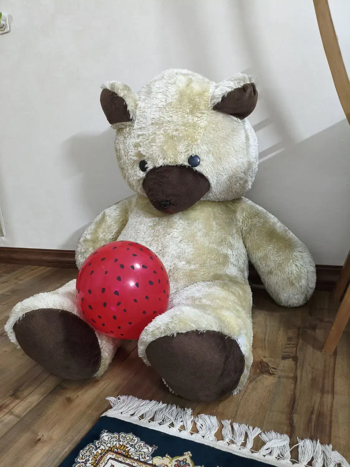 خرس بزرگ|اسباب‌‌بازی|قم, بنیاد|دیوار