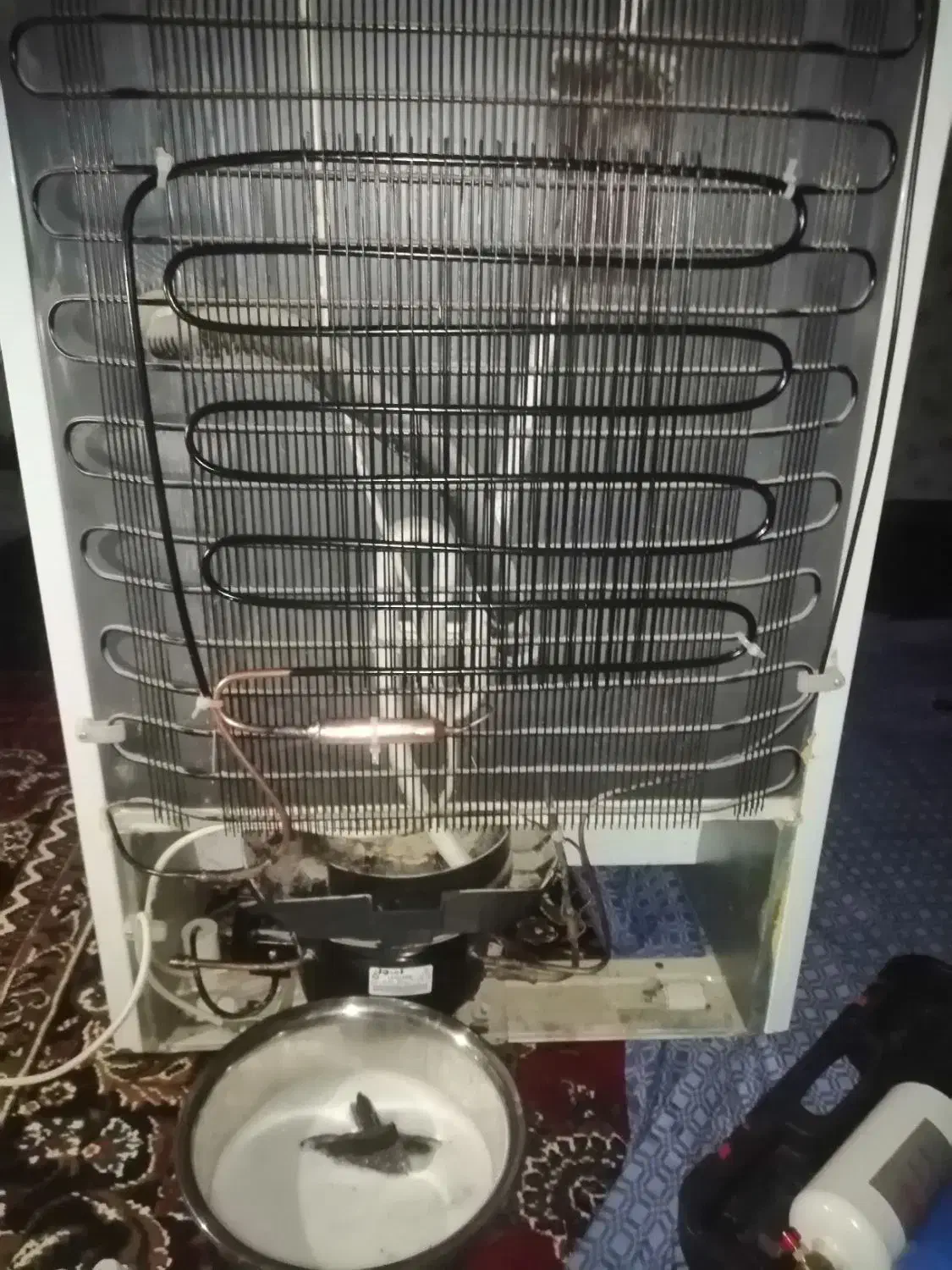 تعمیر یخچال در منزل مشتری|خدمات پیشه و مهارت|قزوین, |دیوار