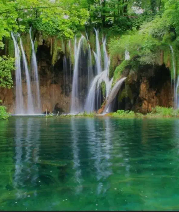 گفتگو و هم فکری|فعالیت داوطلبانه|گرگان, |دیوار