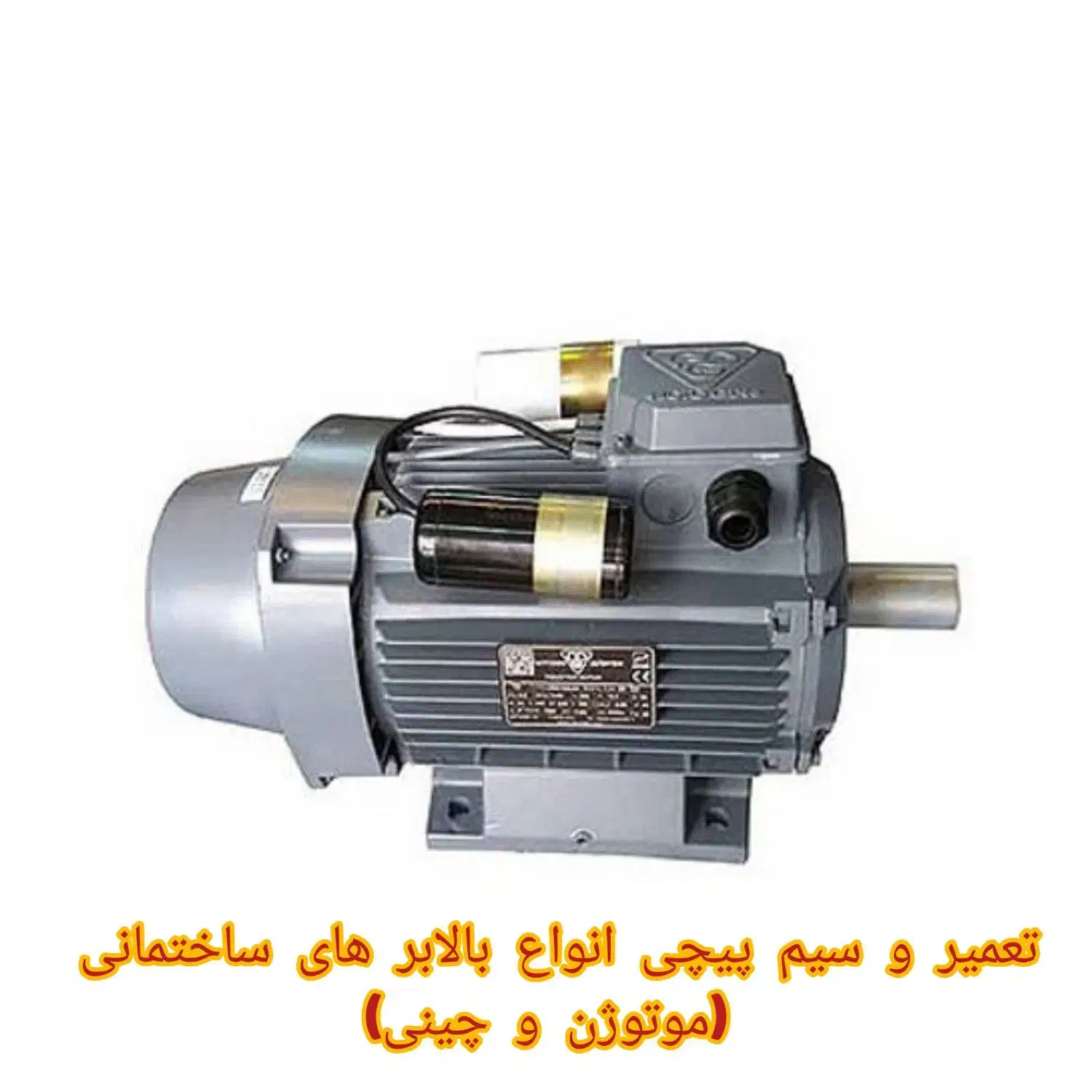 تعمیر و سیم‌پیچی تخصصی انواع الکتروموتور|خدمات پیشه و مهارت|شاهین‌شهر, سعدی شمالی|دیوار