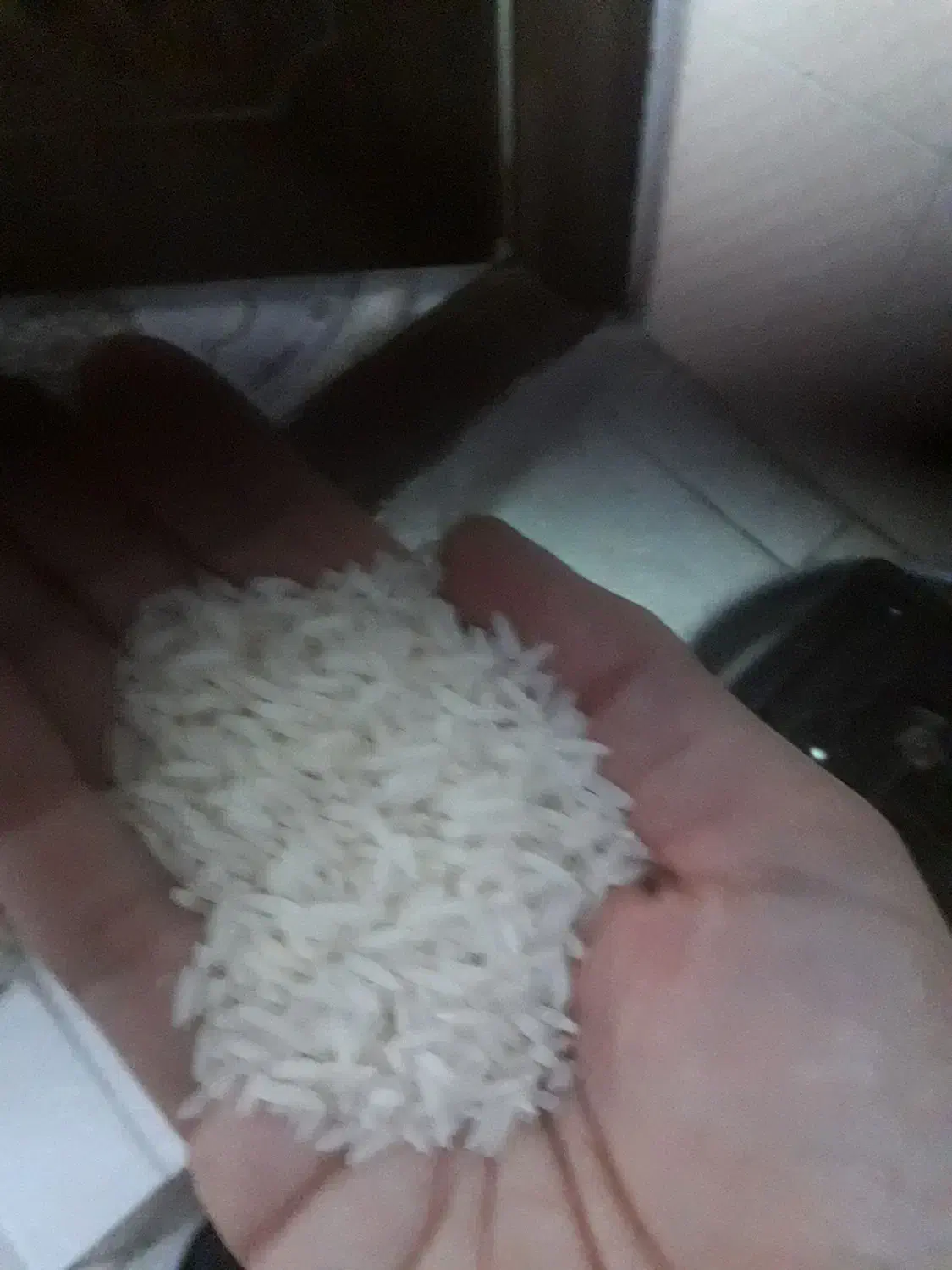 یه مقدار فروش|خوردنی و آشامیدنی|رشت, ولکس|دیوار