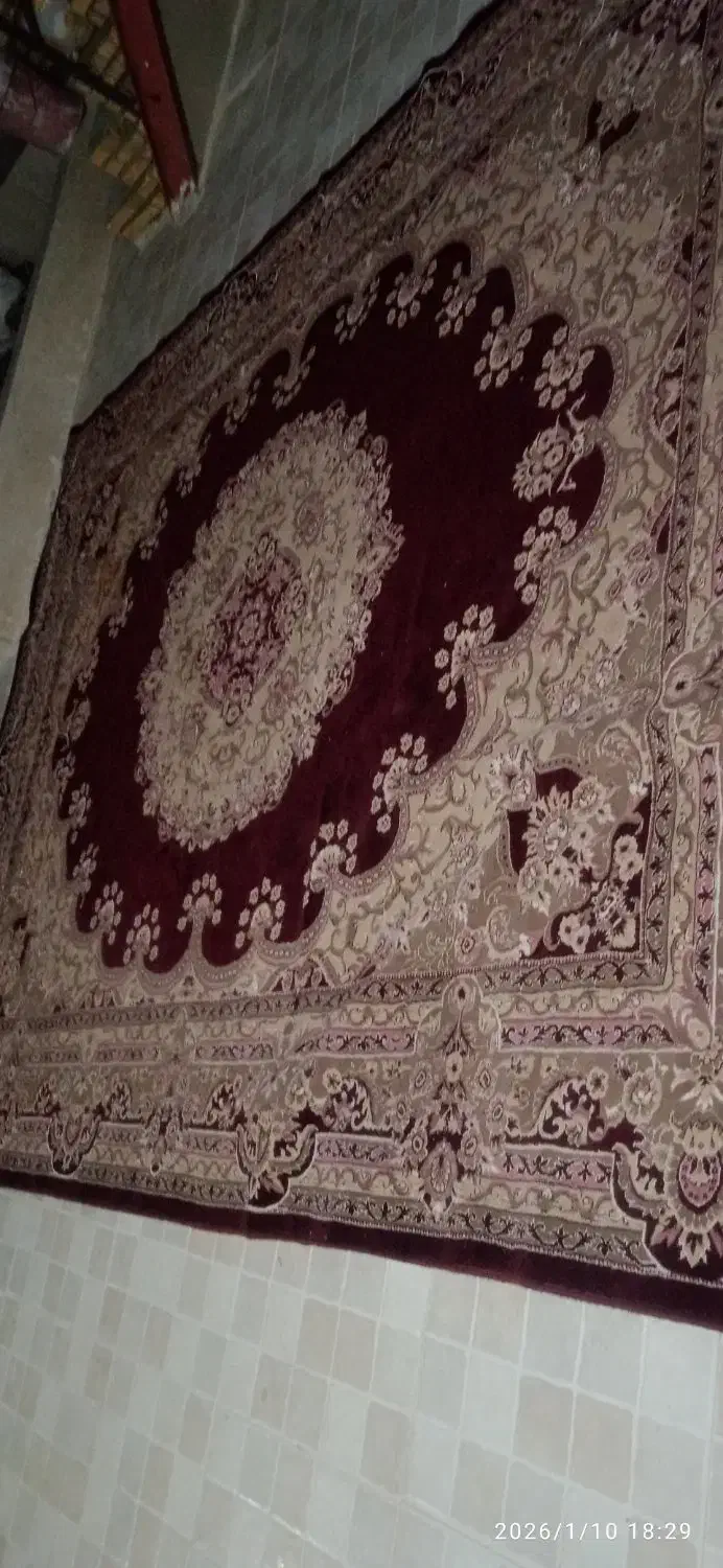 شادگان|فرش|شادگان, |دیوار