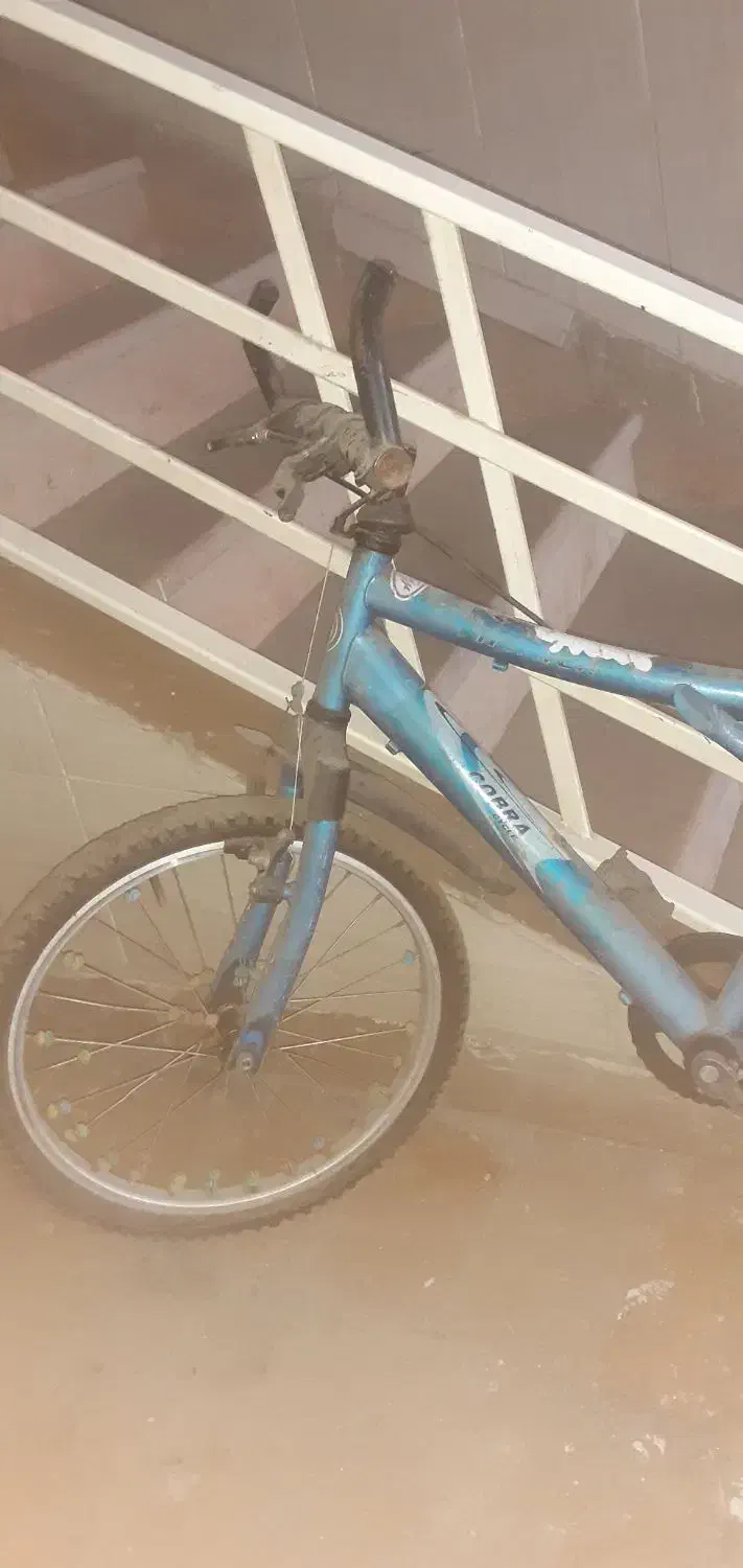 دوچرخه بیست|دوچرخه، اسکیت، اسکوتر|کرج, گلشهر|دیوار