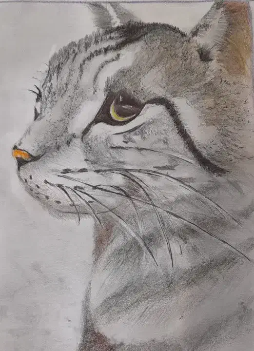 اجتماعی|تابلو، نقاشی، عکس|قم, سالاریه|دیوار