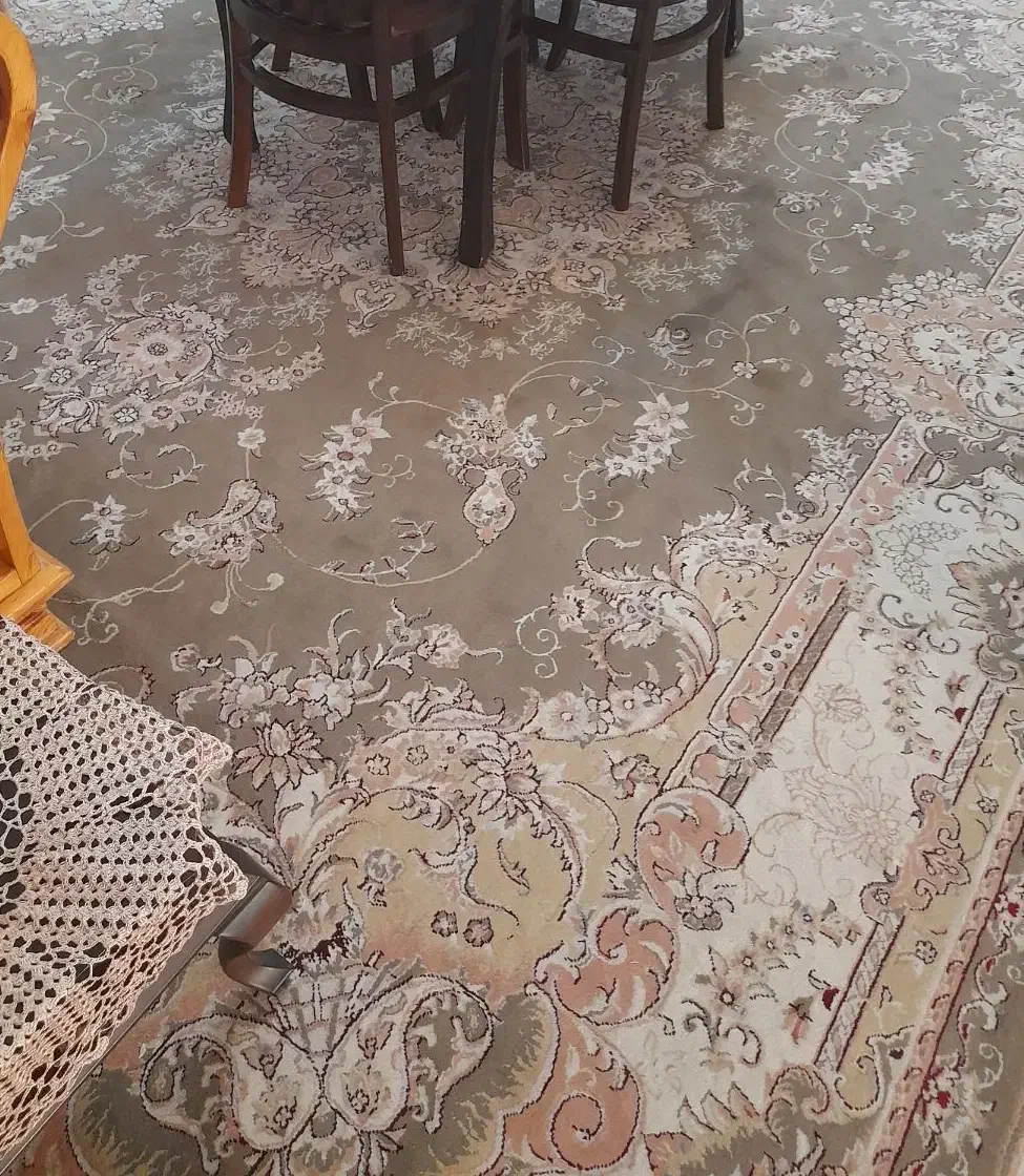 فرش ۱۲ متری گردویی|فرش|گلبهار, شهر جدید گلبهار|دیوار