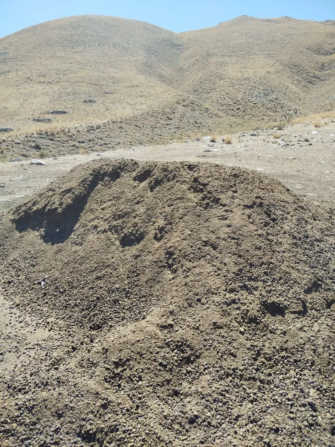 کود حیوانی (پهن)|خدمات باغبانی و درختکاری|مرند, |دیوار