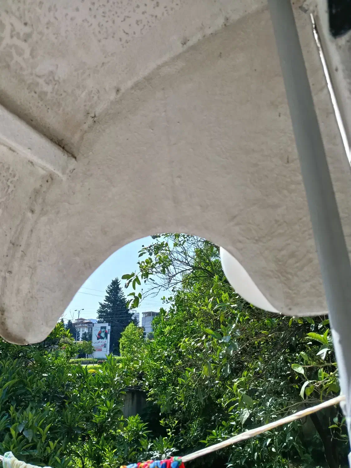 سلام سهره قناری دهن لر|پرنده|ملایر, |دیوار