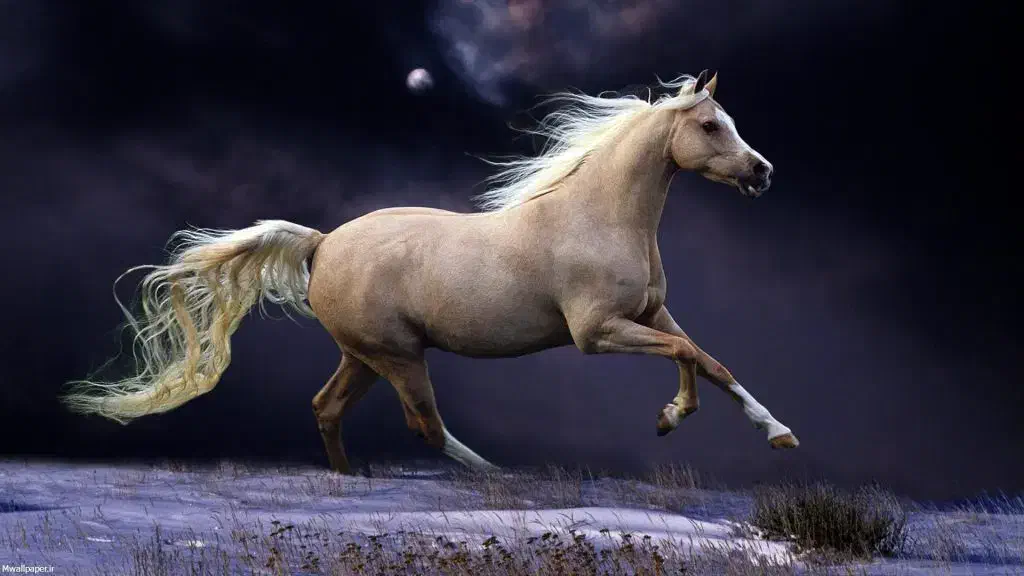 استخدام کارگر ساده|استخدام سرایداری و نظافت|دورود, |دیوار