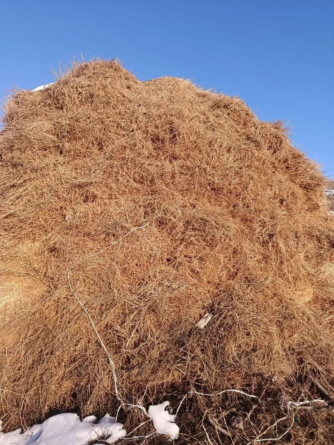 یونجه|لوازم جانبی حیوانات|مشگین شهر, |دیوار