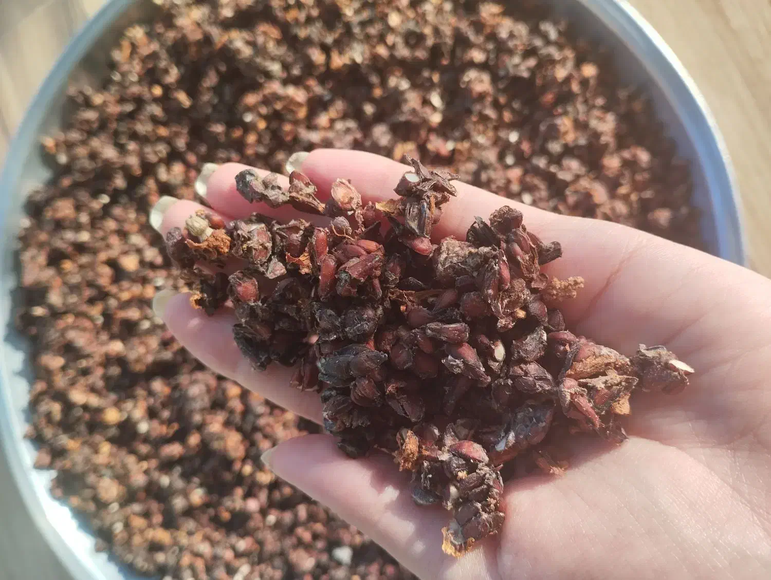 به و دانه به محلی تروتمیز|خوردنی و آشامیدنی|رشت, معلولین|دیوار