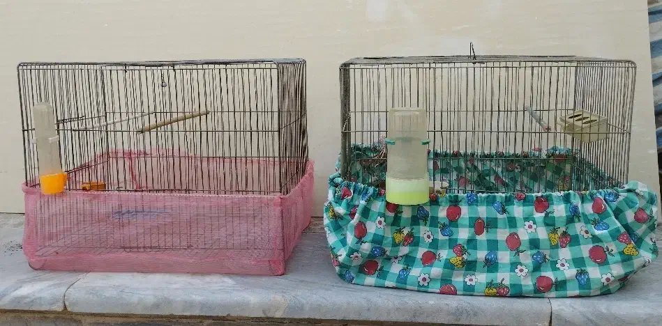 دستگاه قالی،قفسه،قفس،در کنتور|حراج|کاشان, فاز ۱ ناجی آباد|دیوار