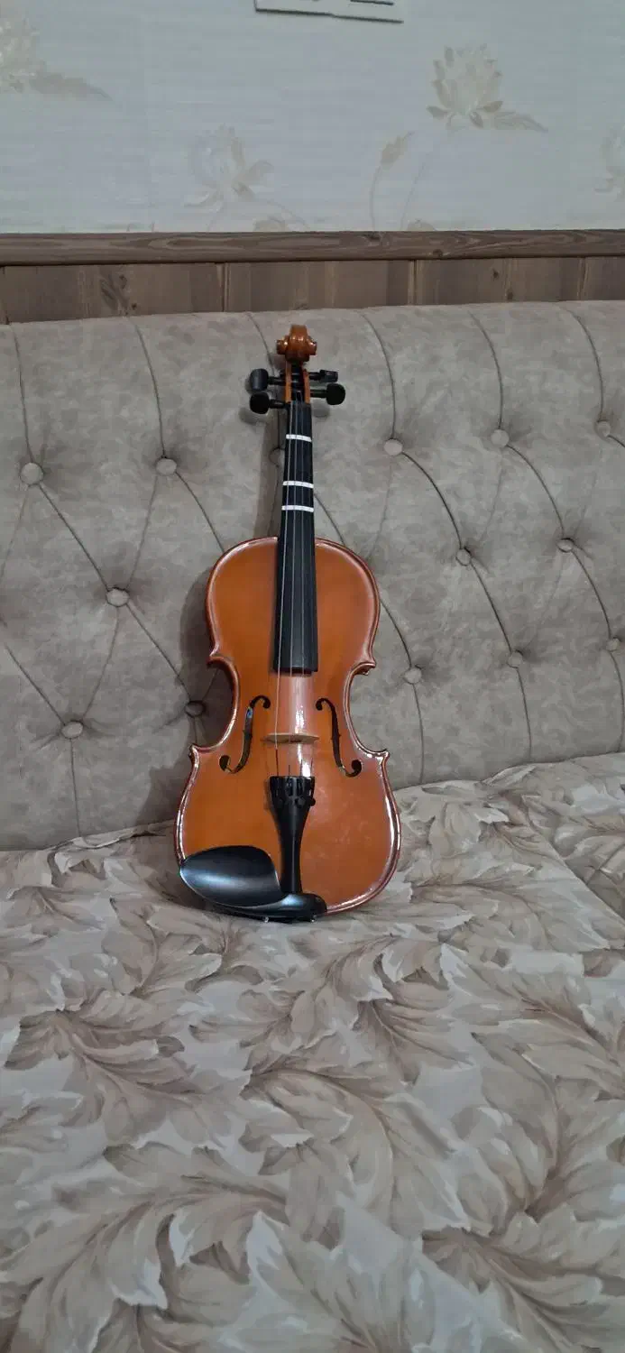 ویلن ۳/۴|ویولن|شیراز, دینکان|دیوار
