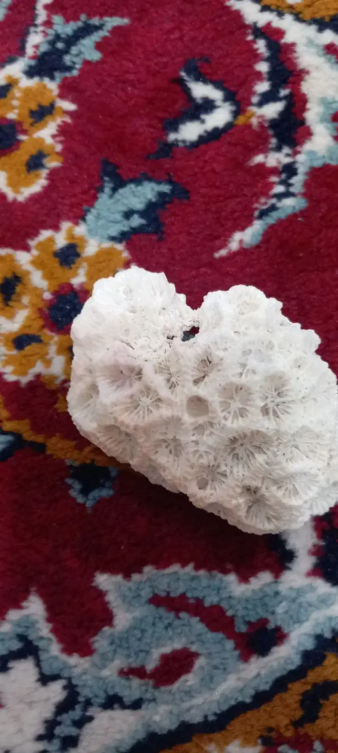 سنگ مرجان|جواهرات|دزفول, |دیوار