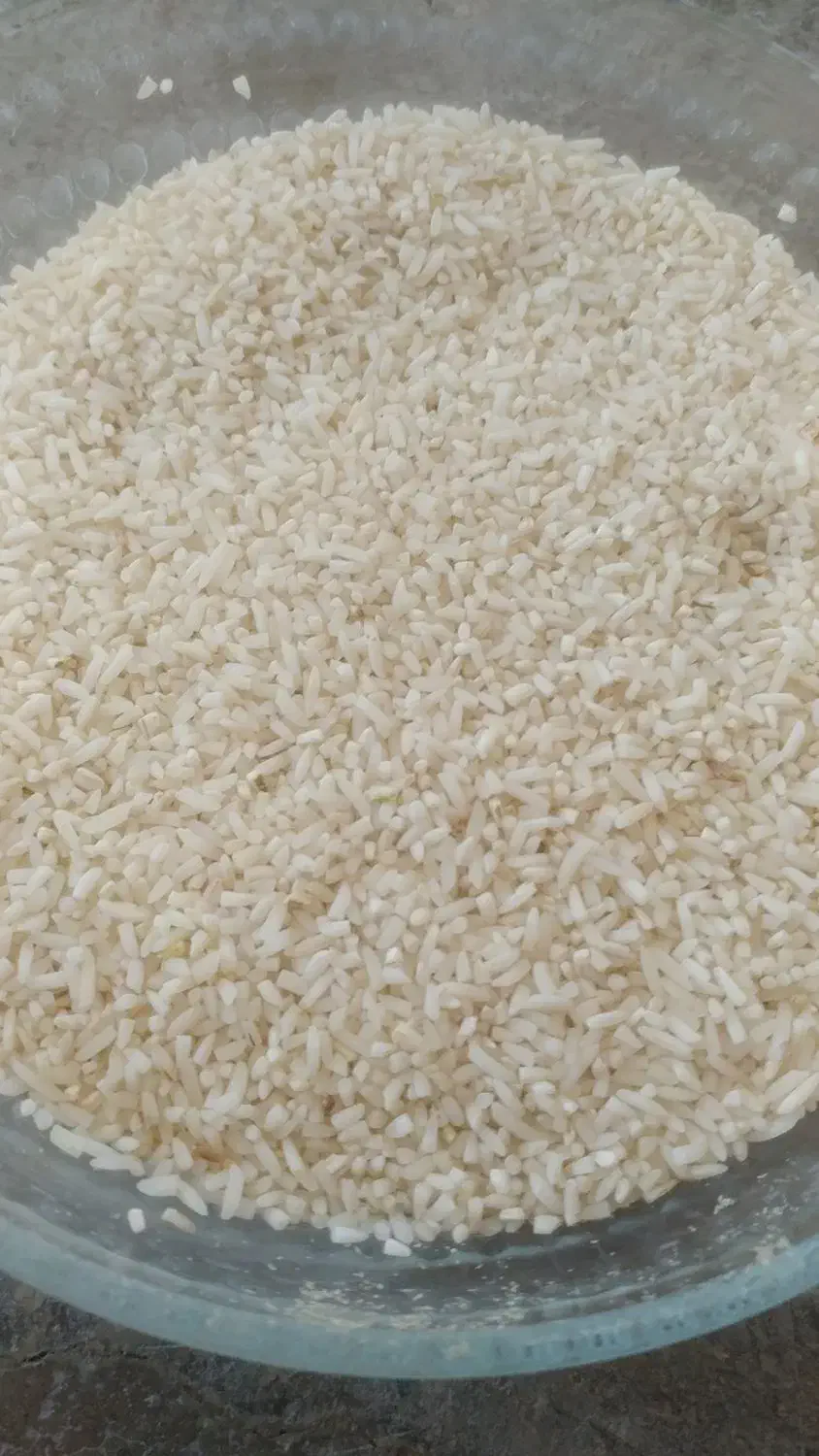 فروش نیمدانه طارم صدری هاشمی|خوردنی و آشامیدنی|رشت, شهرک صنعتی|دیوار