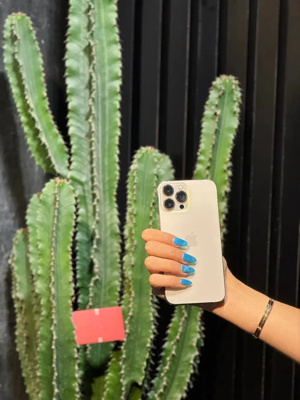 ۱۳پرو ۲۵۶ zaa با سلامت و اصالت ۳۰روزمهلت‌تست قسطی|موبایل|تهران, گیشا|دیوار