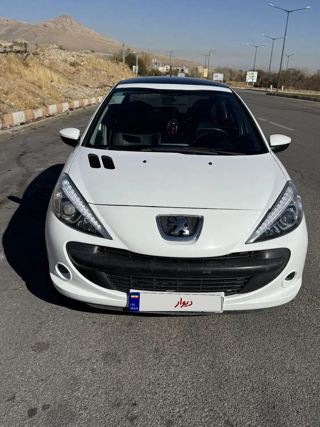 207iپانورما|خودرو سواری و وانت|بیجار, |دیوار