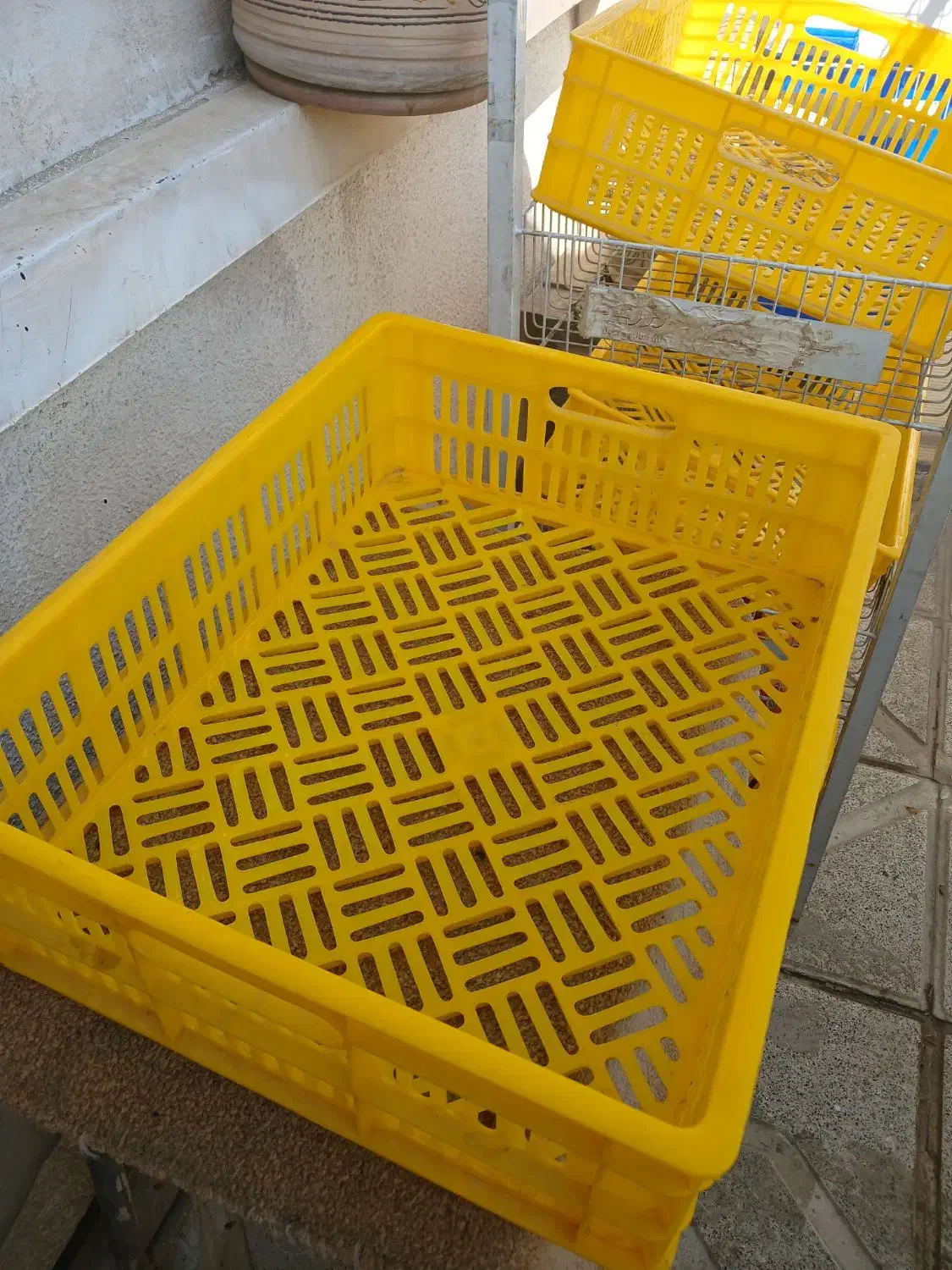 سبد بزرگ میوه|ظروف نگهدارنده، پلاستیکی، یک‌بارمصرف|مشهد, الهیه|دیوار