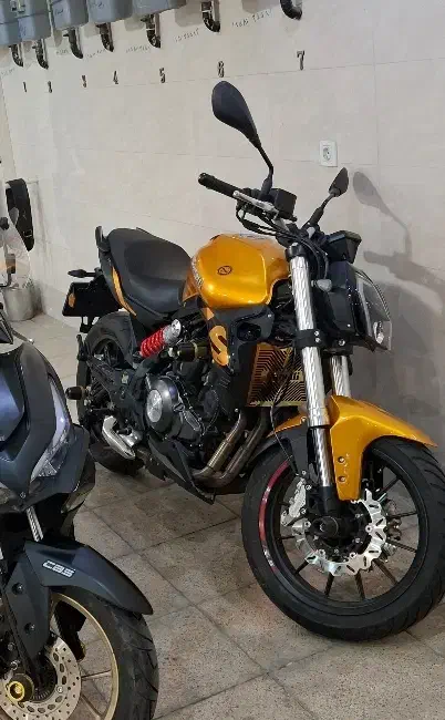 بنلی ۲۵۰جفت طلایی|موتورسیکلت|تهران, بازار|دیوار