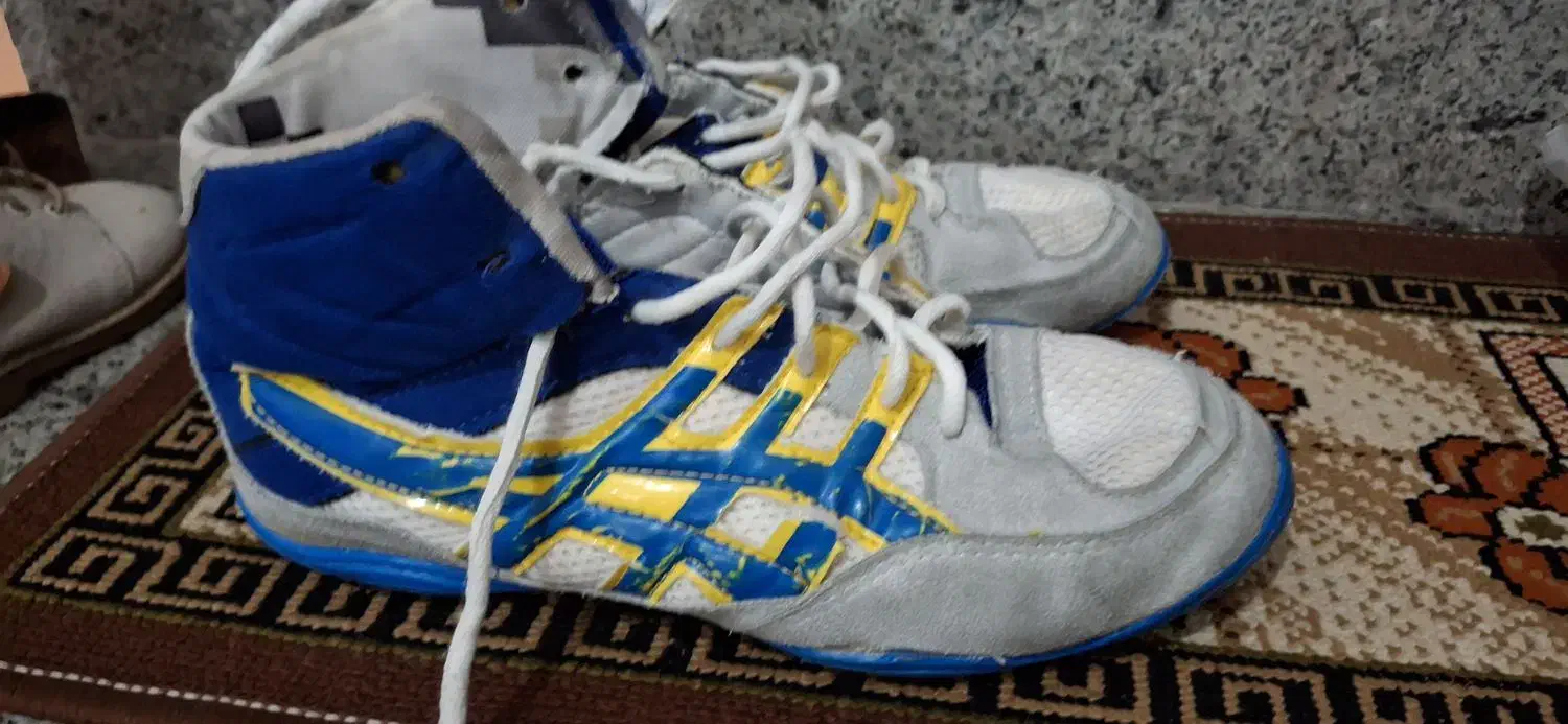 کفش کشتی|کیف، کفش، کمربند|قروه, |دیوار